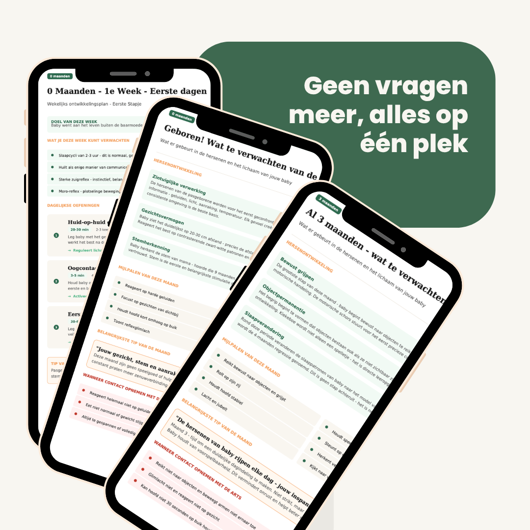 Gepersonaliseerd Baby Ontwikkelingsplan