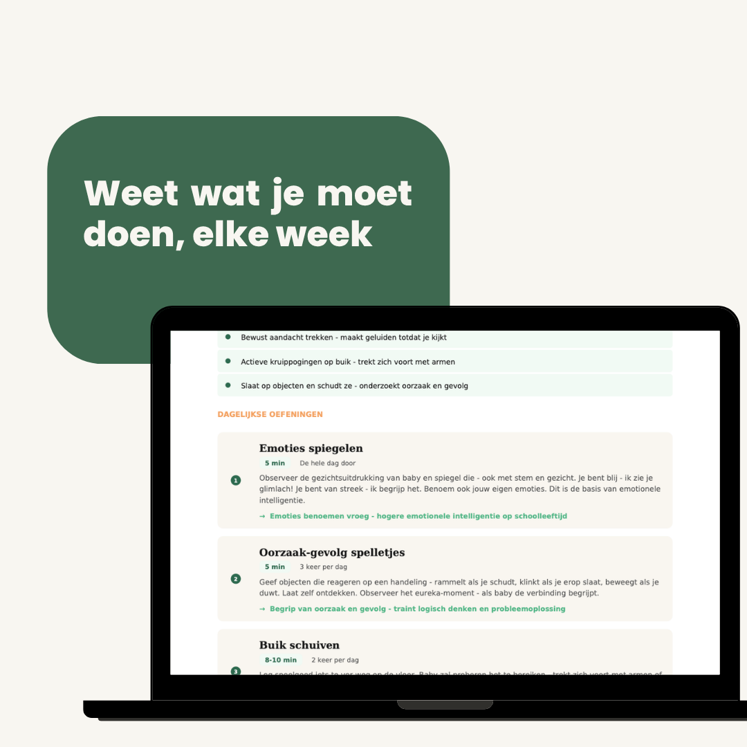 Gepersonaliseerd Baby Ontwikkelingsplan